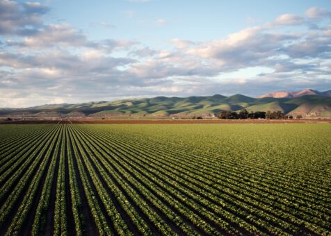 Agriculture